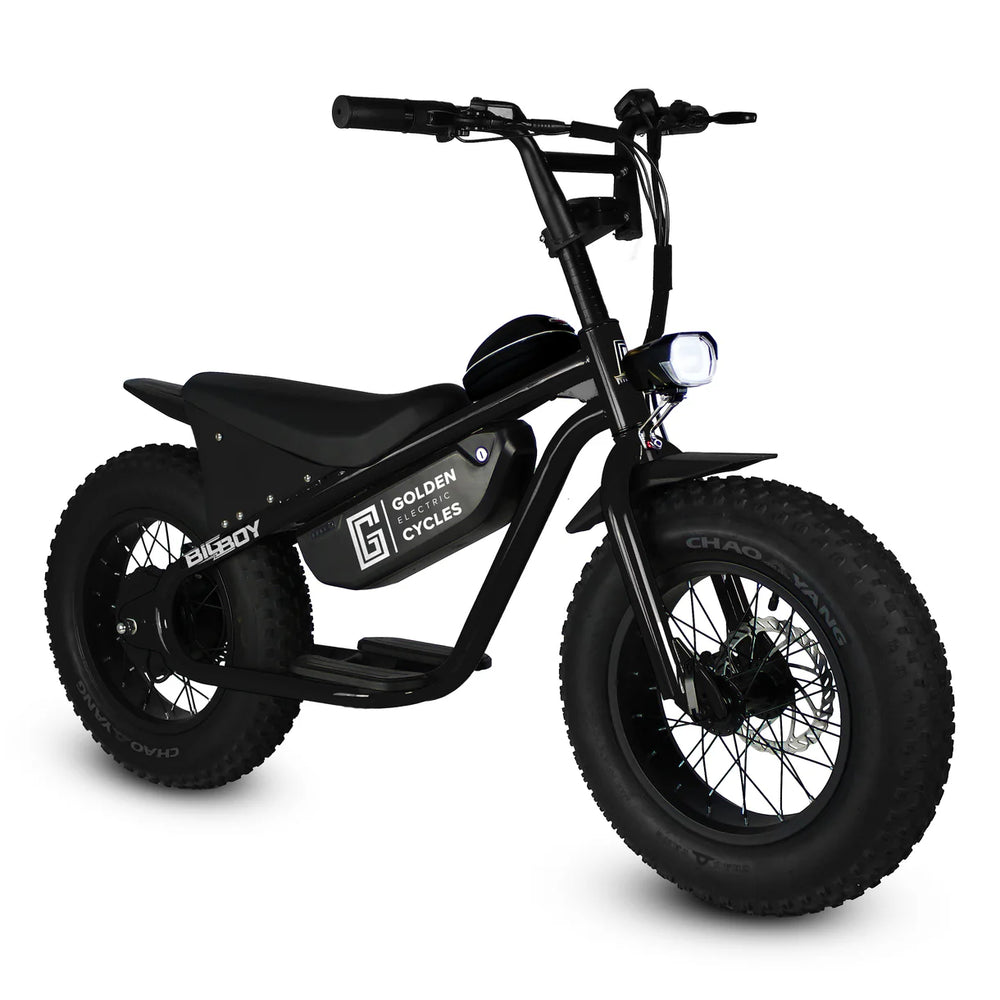 Big wheel electric trike sale