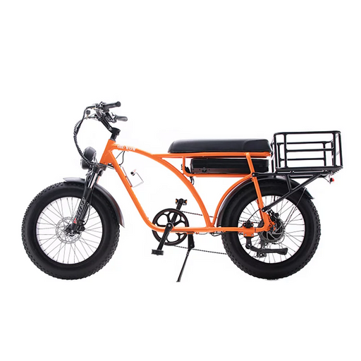 E-BIKE Rental